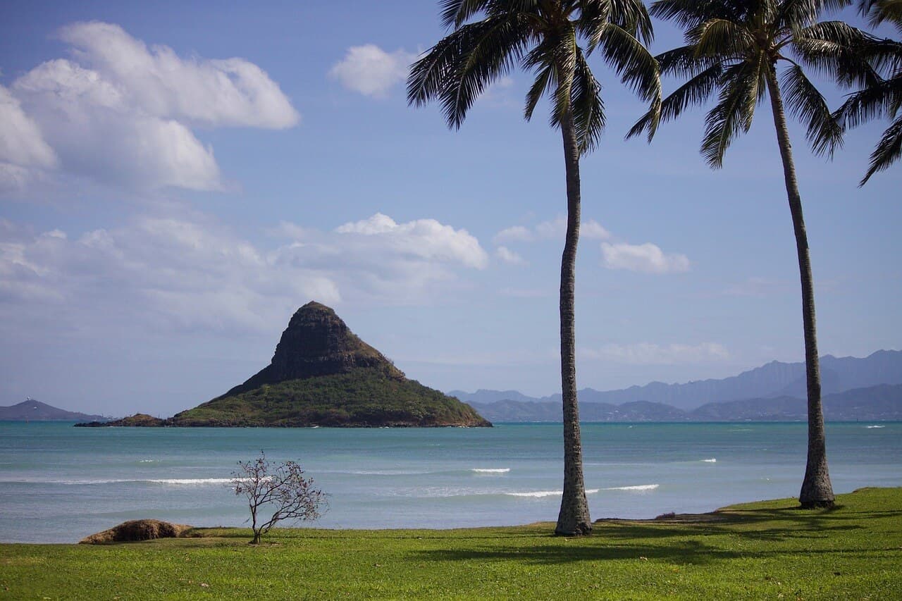 A beach view on Oahu