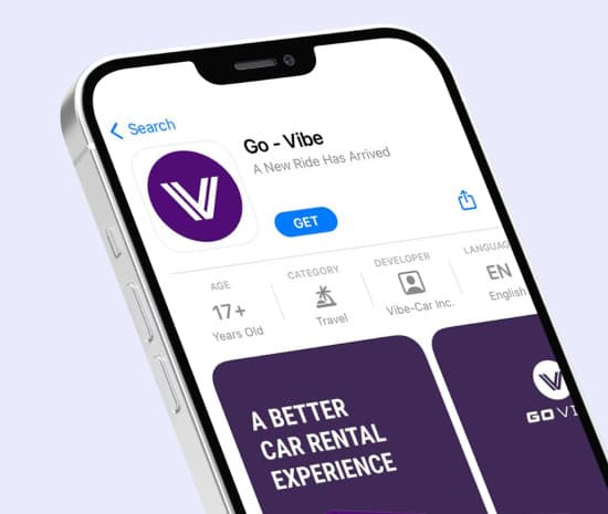 The GoVibe mobile app